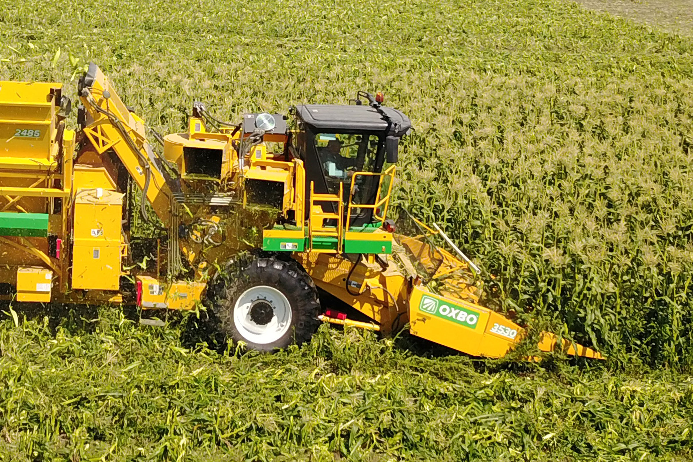 3000 Series Corn Head | Oxbo