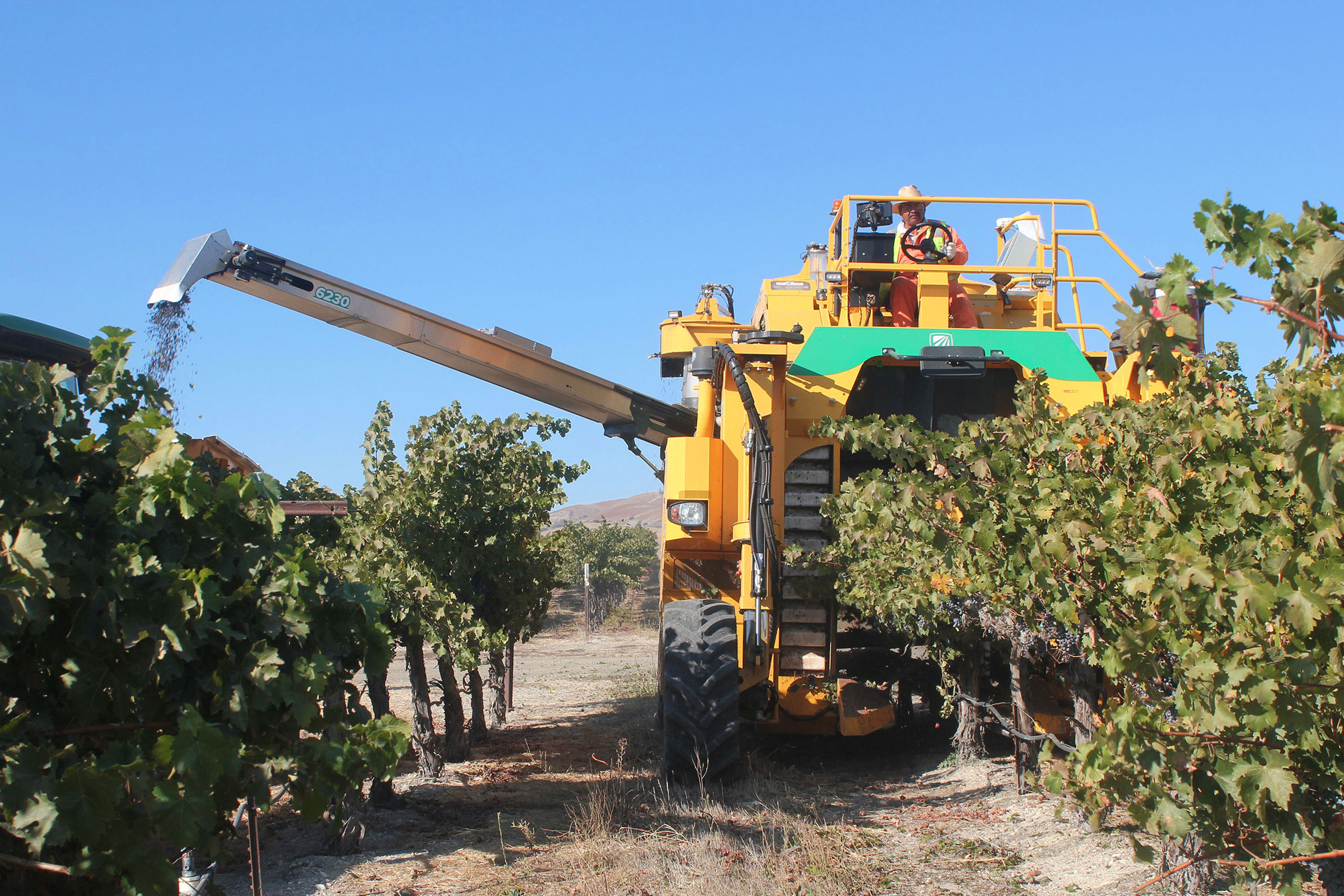 6230 Grape Combine | Oxbo