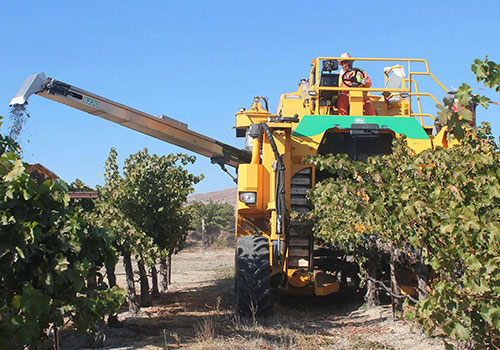 6230 Grape Harvester | Trunk Shaker | Oxbo