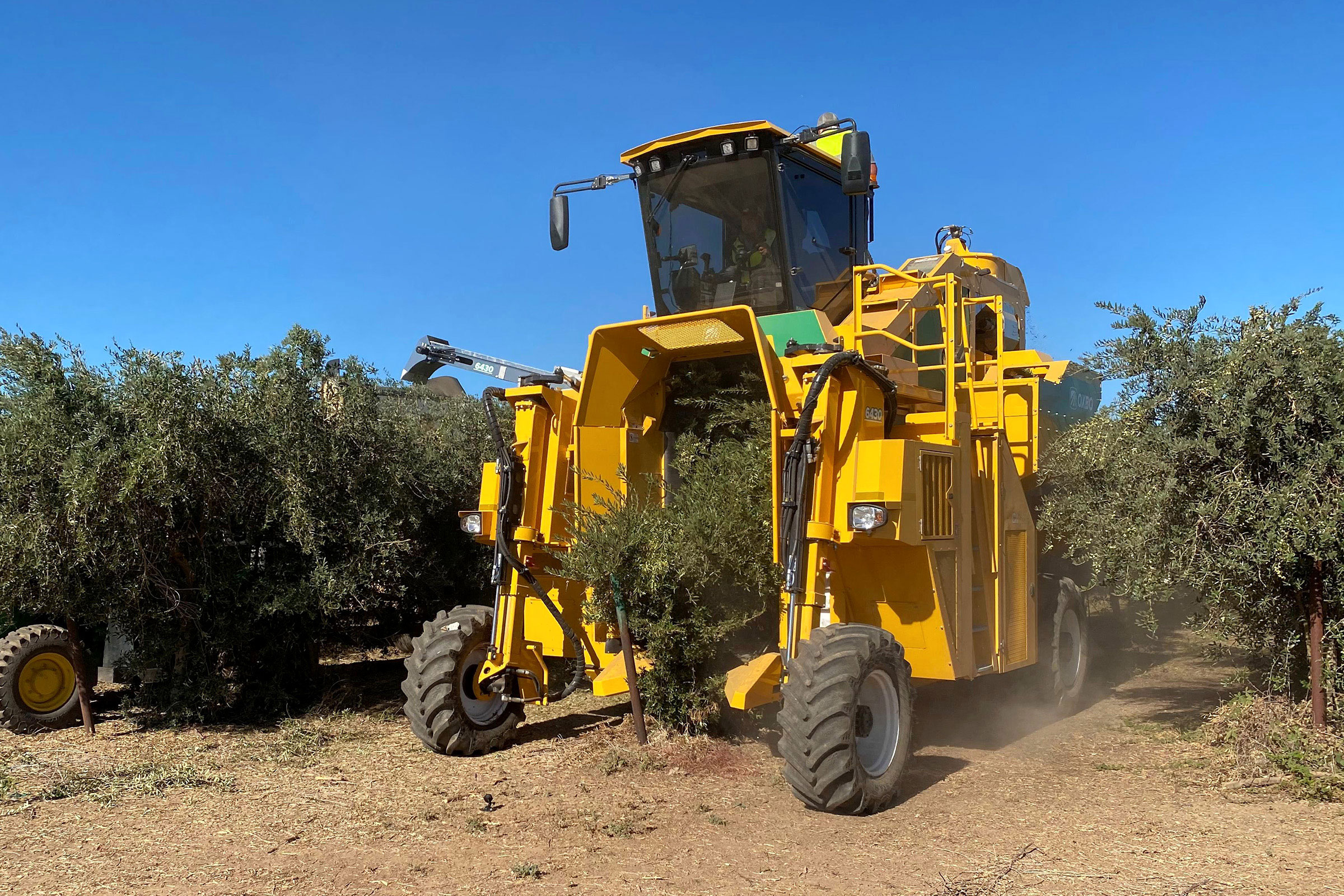 6430 Super High Density Crop Harvester | Oxbo