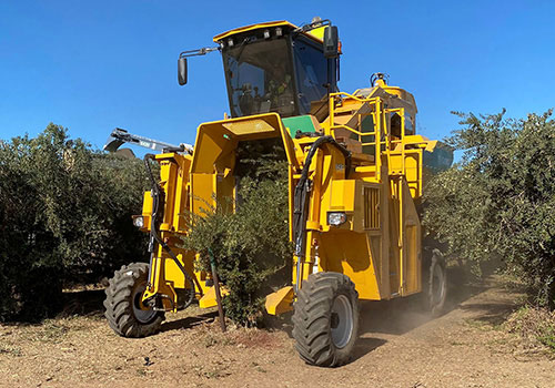 6430 Olive Harvester | SHD Crop Harvester | Oxbo