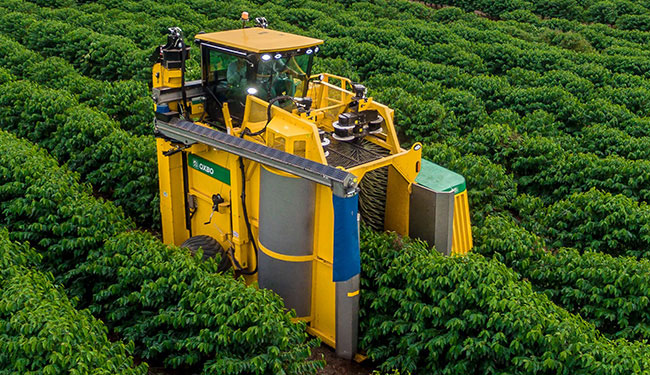 9240 Coffee Harvester | Oxbo