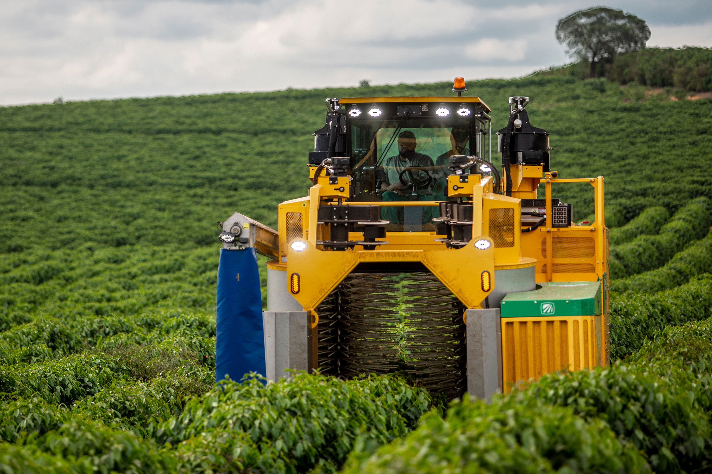 9240 Coffee Harvester | Oxbo