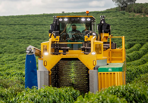 9240 Coffee Combine | Oxbo