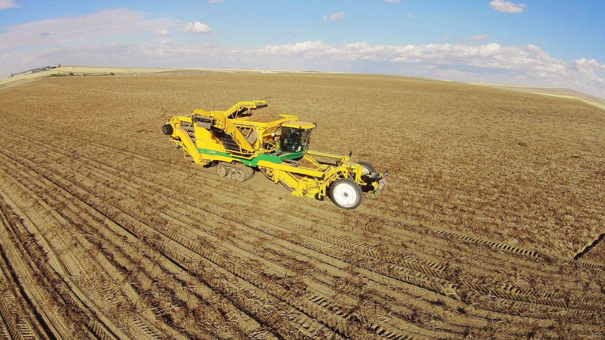 AR4BX Potato Harvester | Oxbo