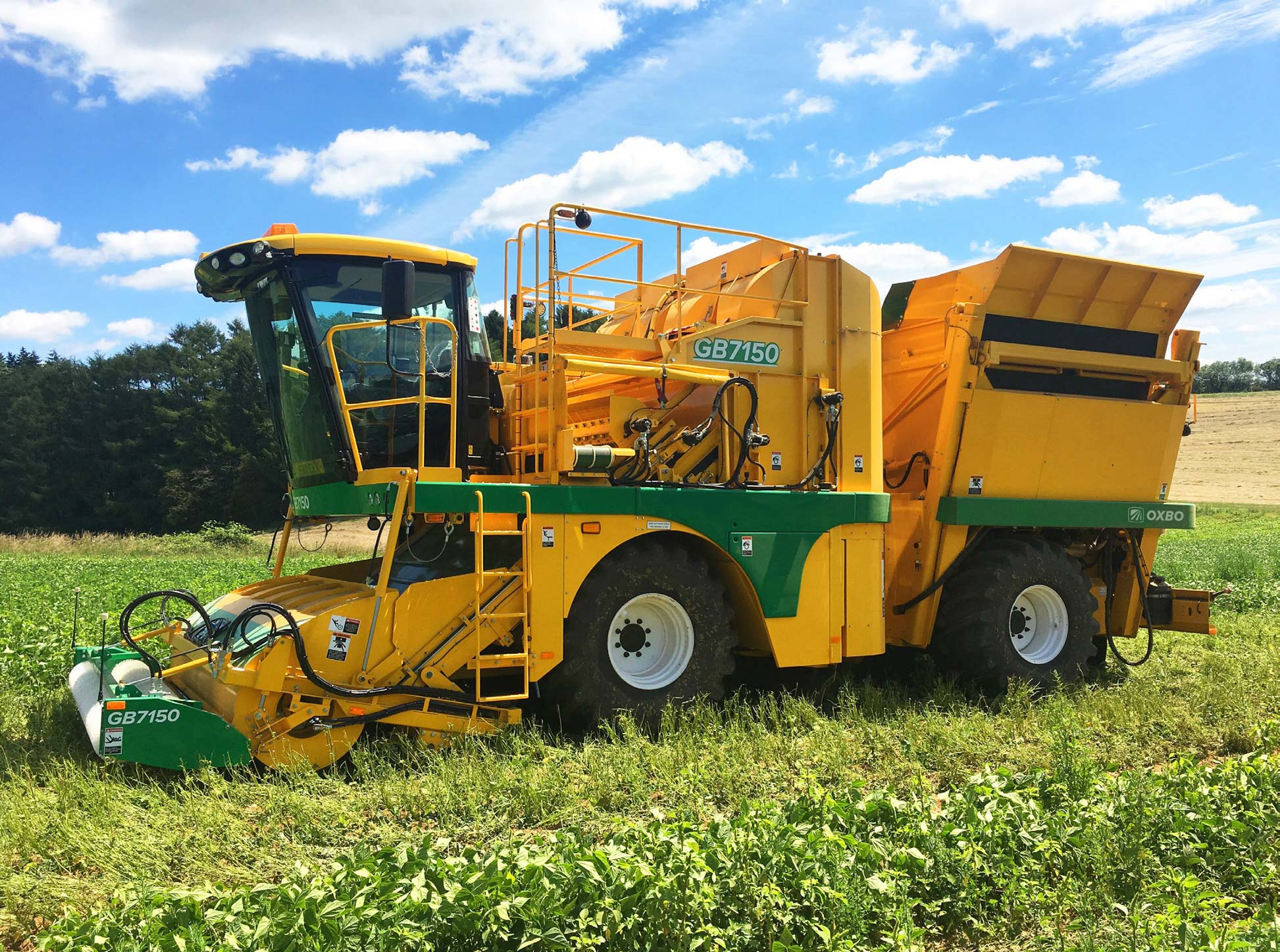 GB7150 Green Bean Harvester | Oxbo