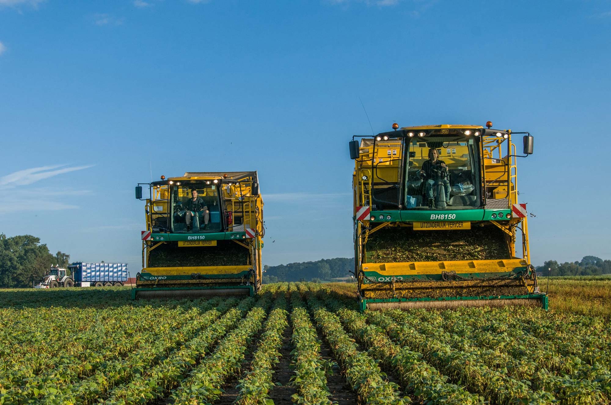 BH8150 Green Bean Harvester | Oxbo