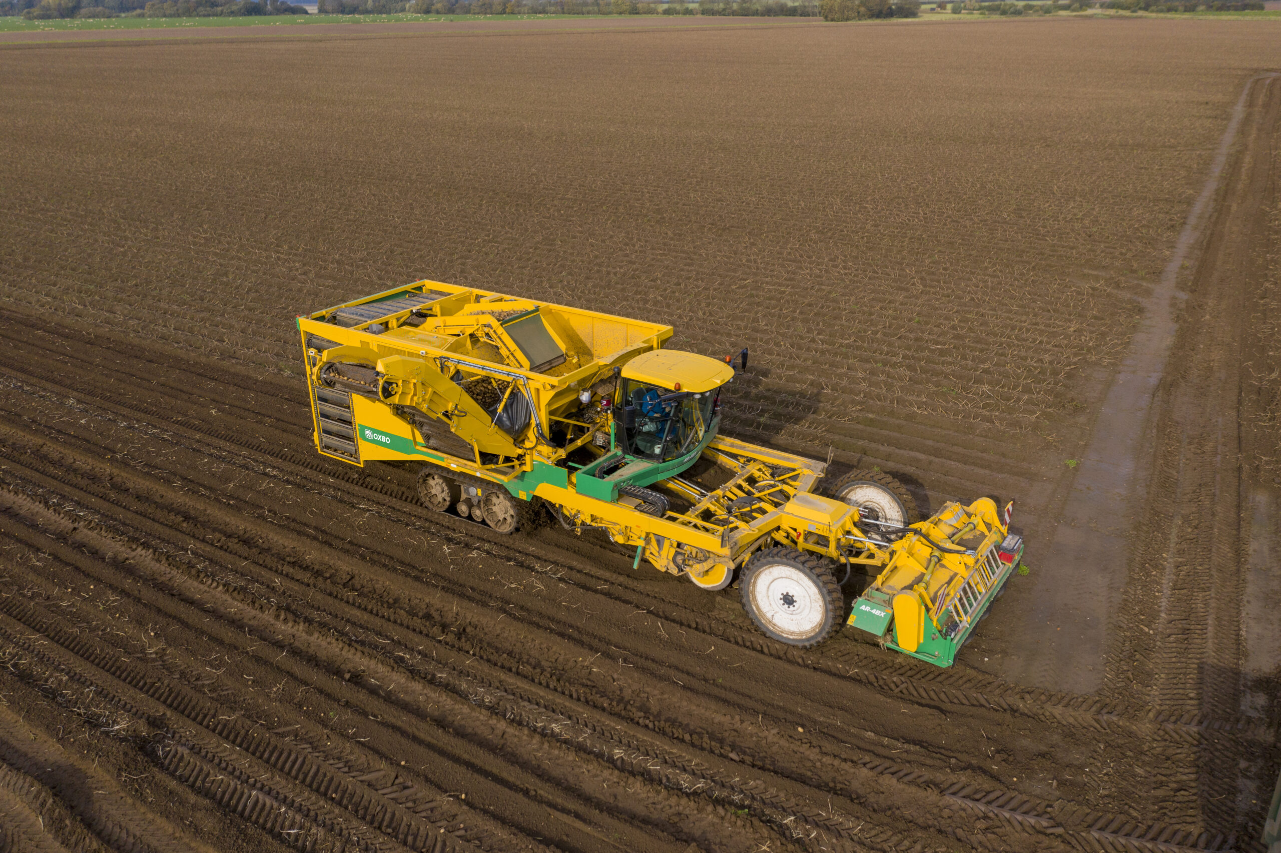 AR4BX Potato Harvester | Oxbo