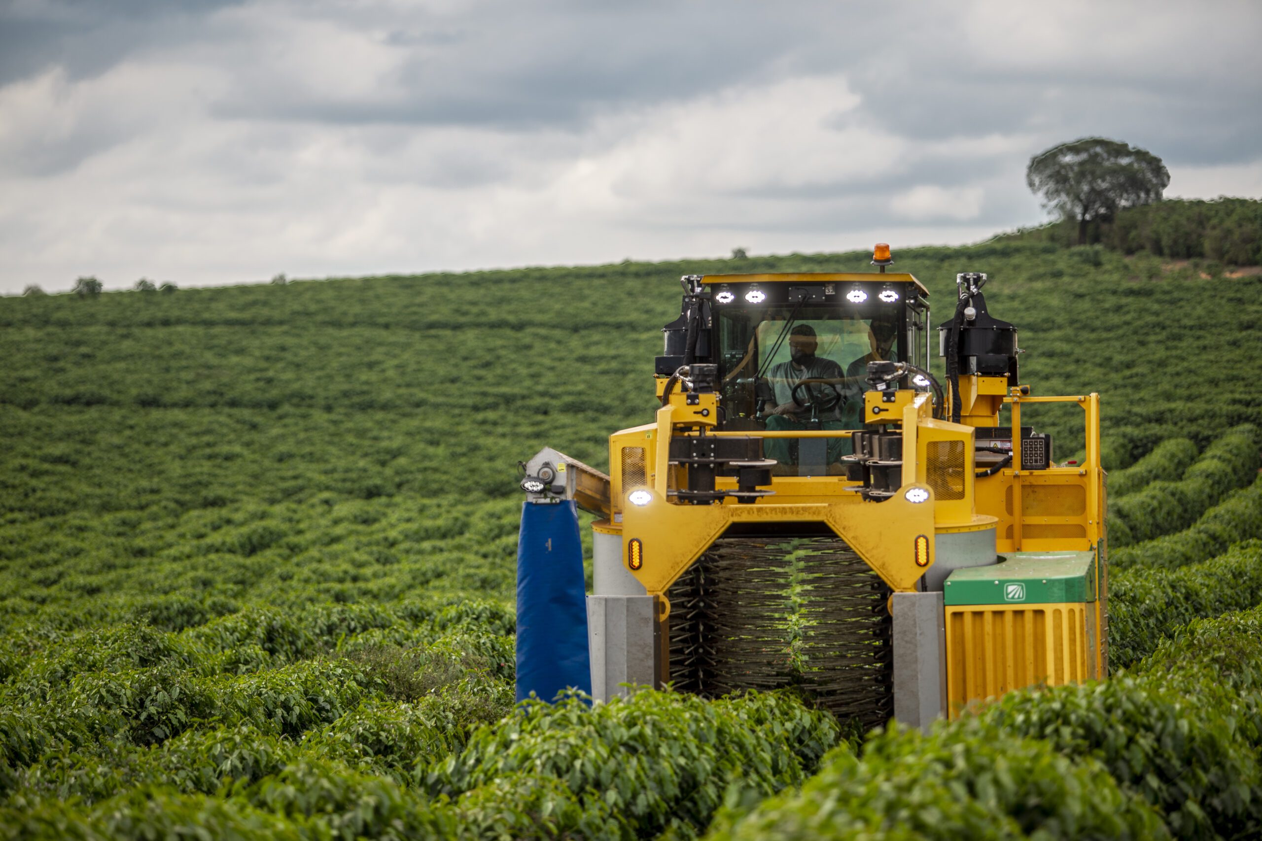 Oxbo 9240+ Coffee Harvester for Arabica and Robusta