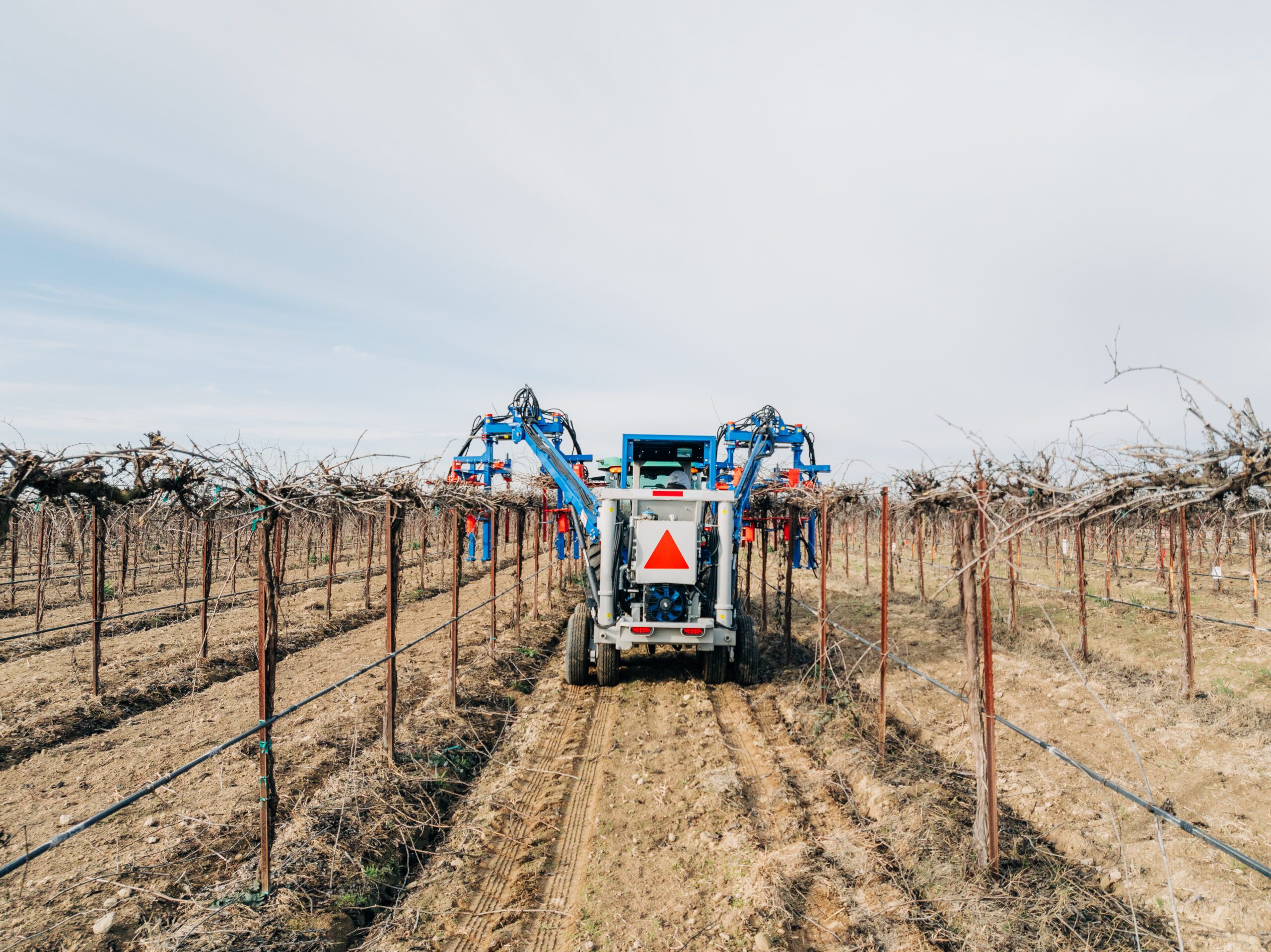 Oxbo 610 dual row vineyard pruning