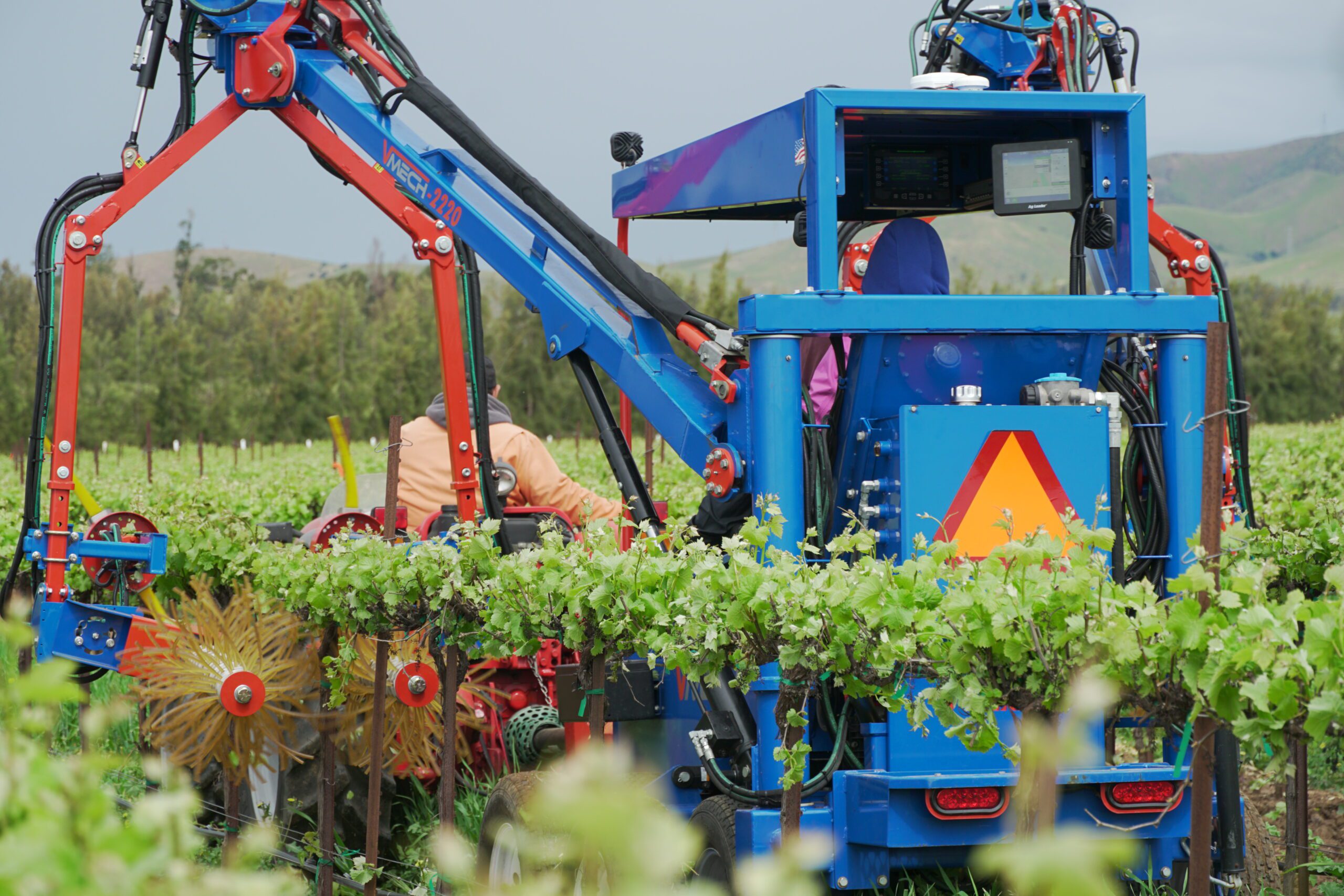 Oxbo 610 shoot thinning in vineyard