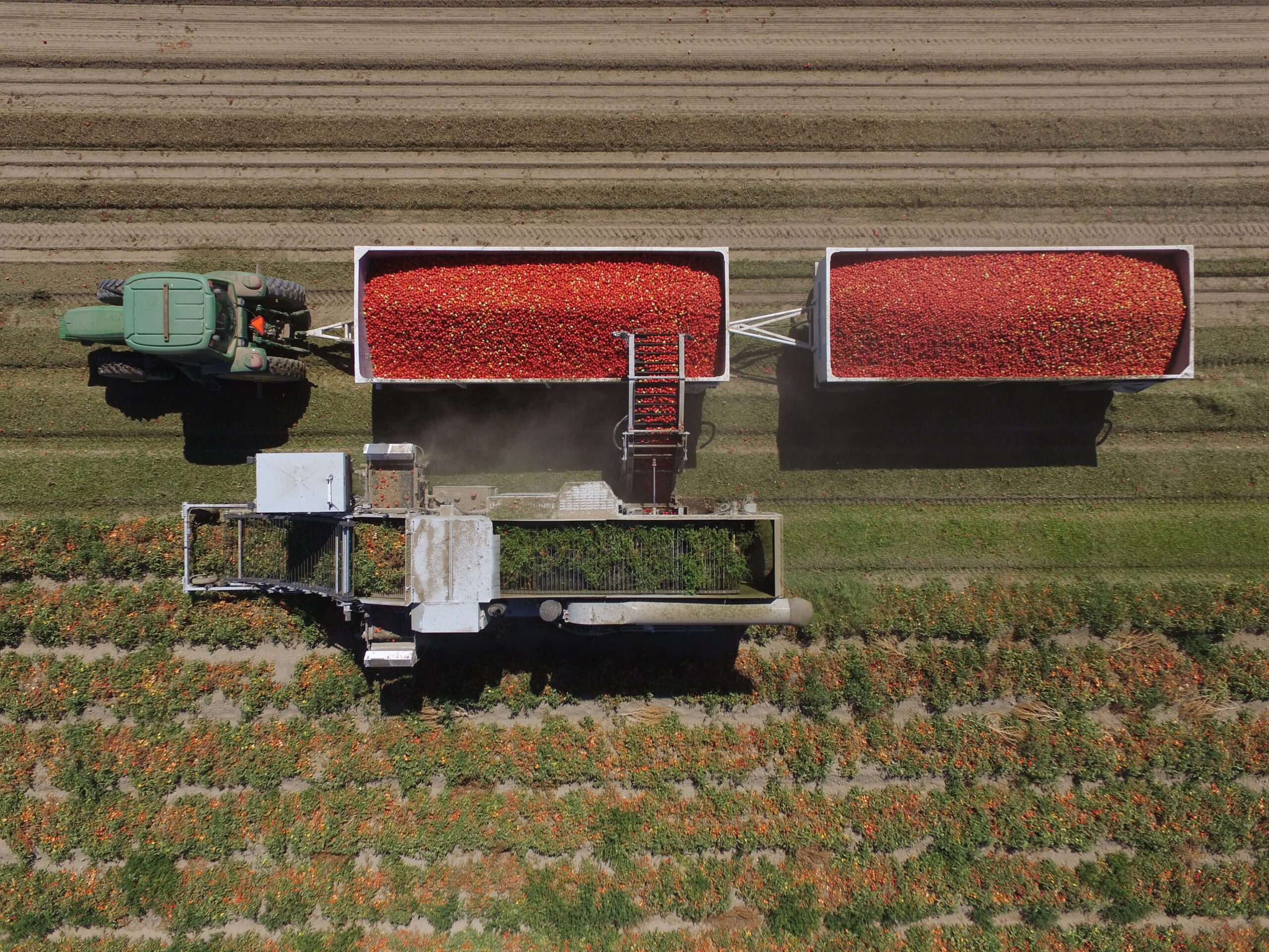 Star tomato harvester aerial view