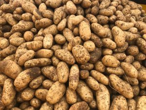 Potatoes