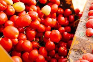 Tomatoes