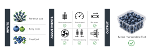 Oxbo introduces AutoHarvest: machine-learning for blueberry harvesters 3